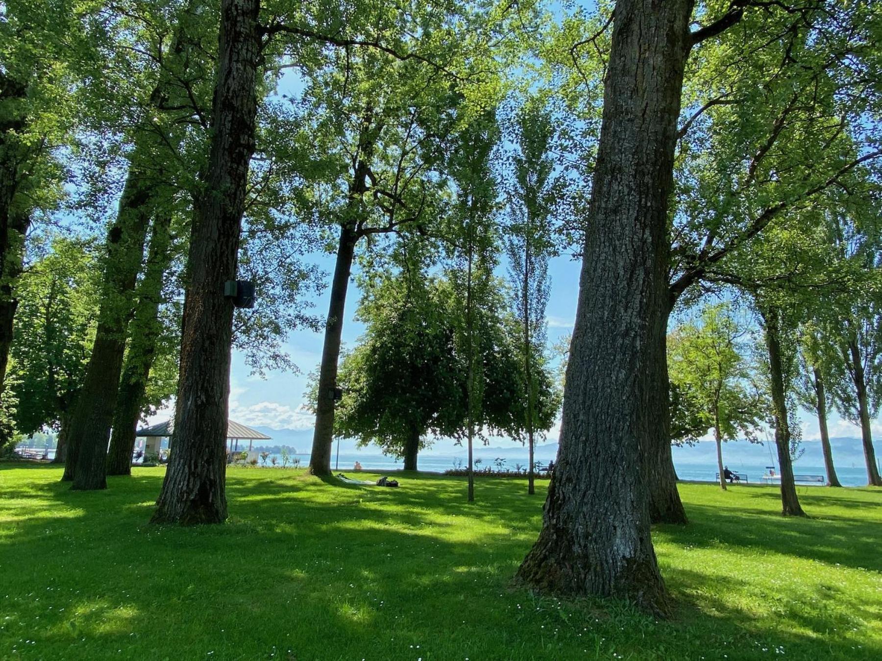 Ferienwohnung Galerie Rosenstrasse Kressbronn am Bodensee Eksteriør billede